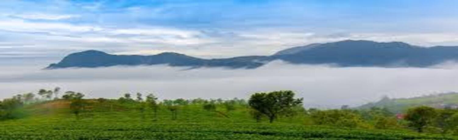 About Banner Image