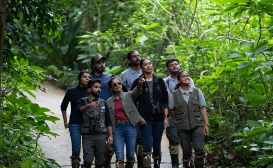 Bandaje Falls Trek From Banglore poster