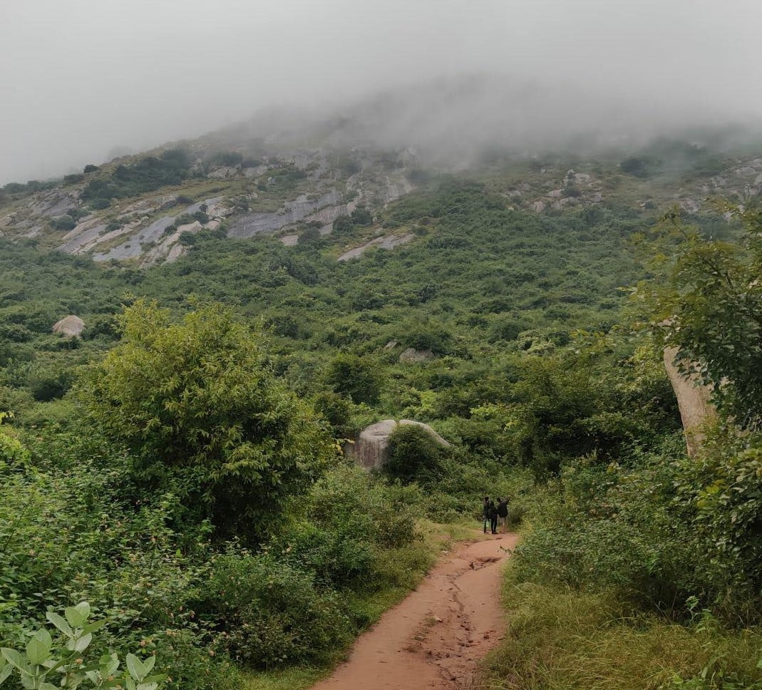 skandagiri night trek