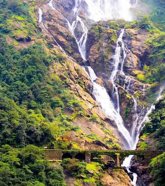 Dudhsagar Waterfalls Trek