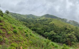 Netravathi Trek Chikmagalur