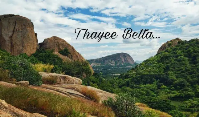 Thayee Betta Hiking Experience from Bangalore