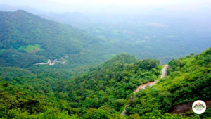 Lakkidi View Point