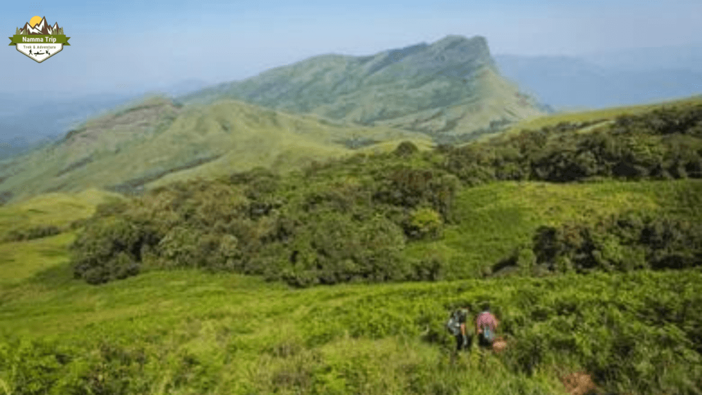 Kudremukh Trek chikmagalur By Namma Trip