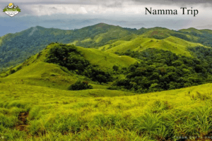 Nishani Motte Trek, Coorg By Namma trip