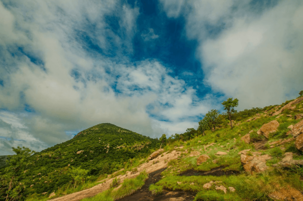 Horagina Betta Sunrise Trek By Namma Trip