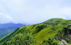 Chikmagalur coffe