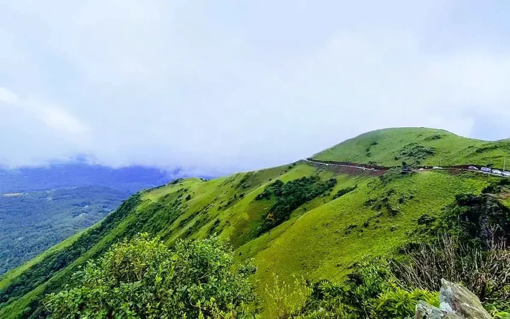 Chikmagalur coffee