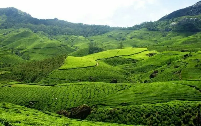 munnar